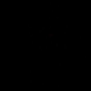 Meet your Posher, Dionide